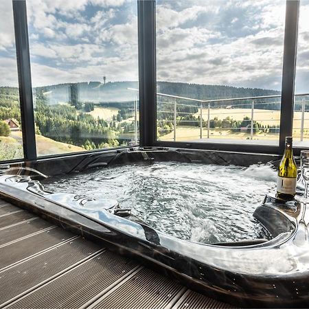 Wellness Villa Klinovec Views Loučná pod Klínovcem 外观 照片