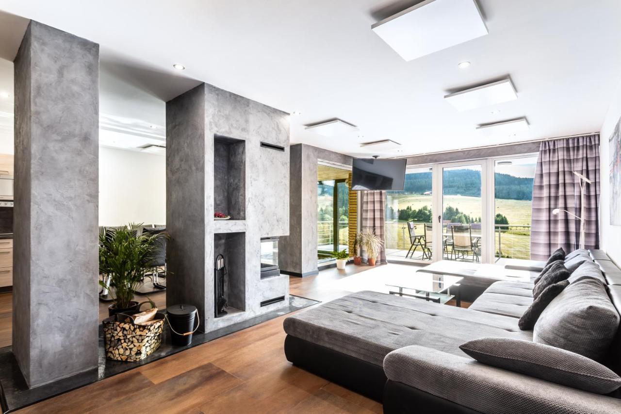 Wellness Villa Klinovec Views Loučná pod Klínovcem 外观 照片