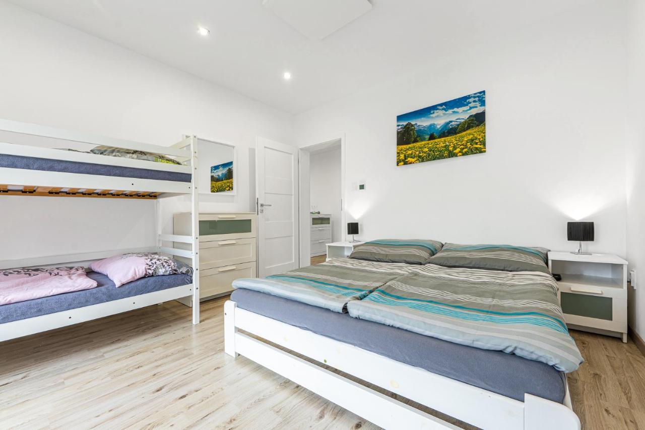 Wellness Villa Klinovec Views Loučná pod Klínovcem 外观 照片