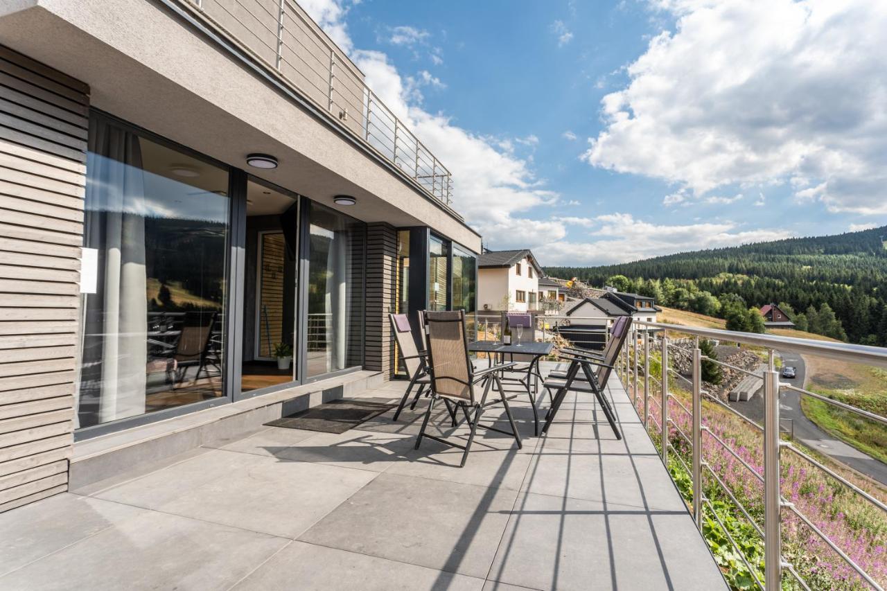 Wellness Villa Klinovec Views Loučná pod Klínovcem 外观 照片