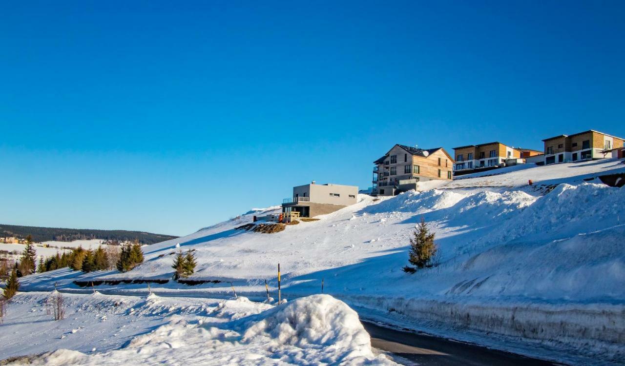 Wellness Villa Klinovec Views Loučná pod Klínovcem 外观 照片