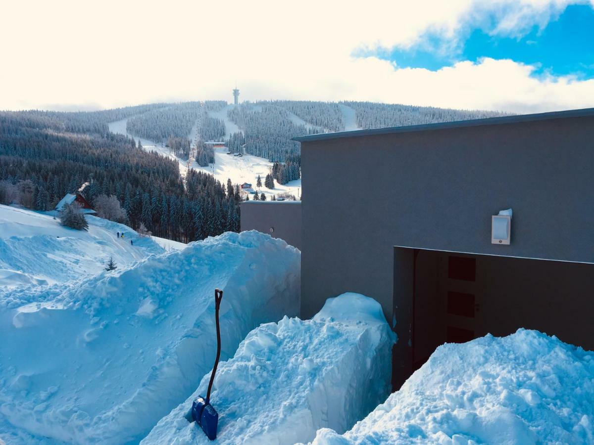 Wellness Villa Klinovec Views Loučná pod Klínovcem 外观 照片